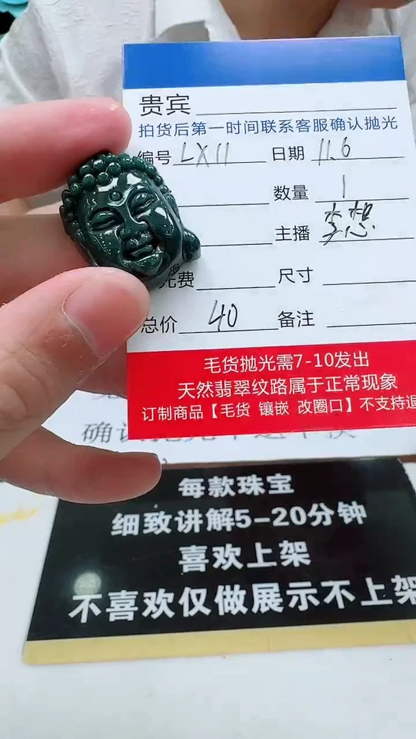 颈饰未镶嵌翡翠LX11翡翠吊坠-多样性发其一
