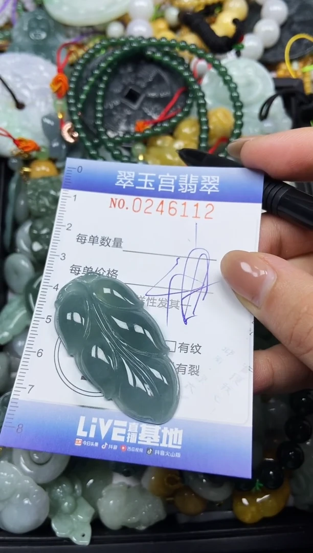 颈饰未镶嵌翡翠闪购C0246112