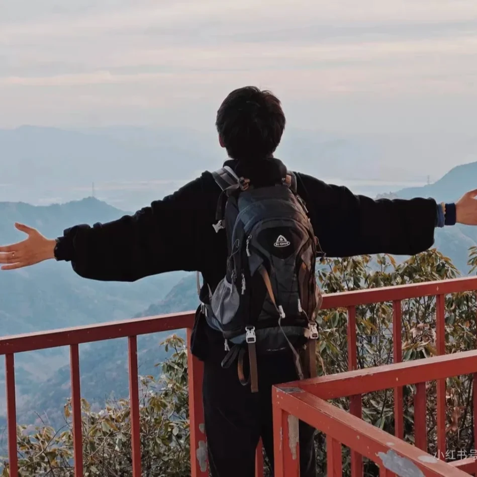 艾王户外30L登山背包悬浮登山包男女徒步户外包骑行背囊双肩包