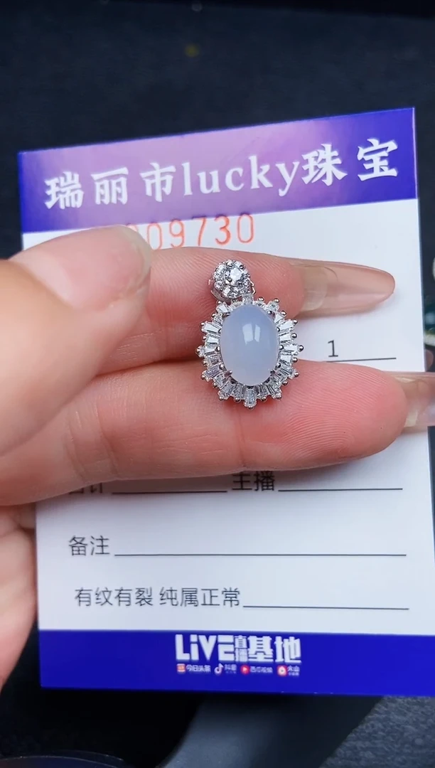 翡翠银S925镶嵌颈饰9730