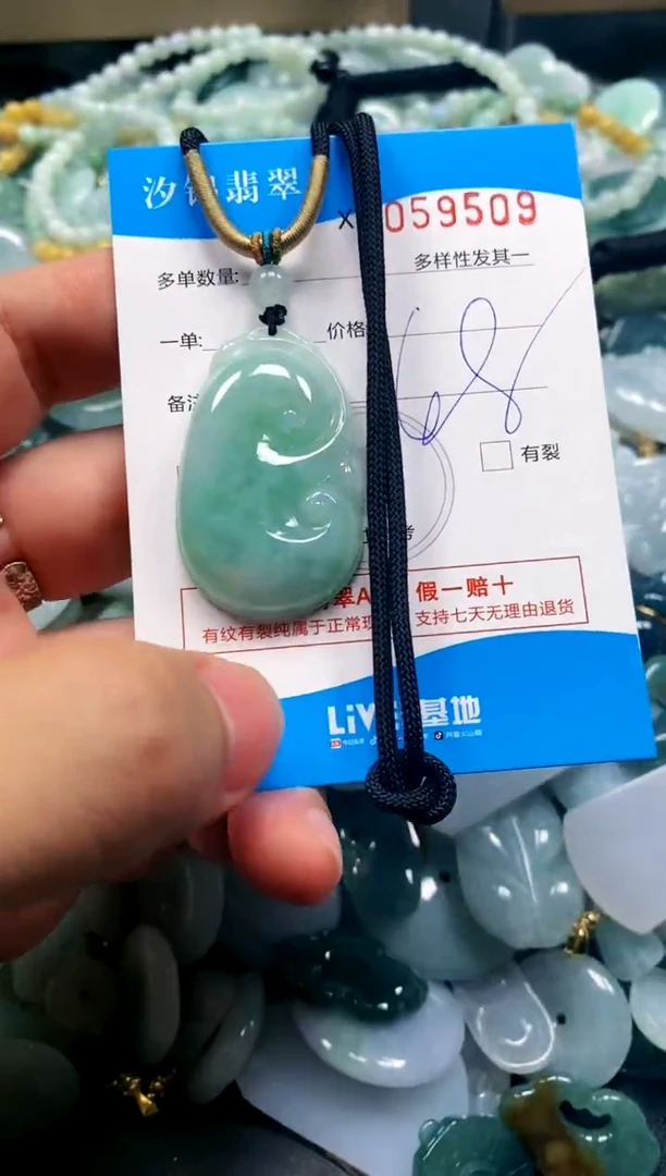 颈饰未镶嵌翡翠闪购商品0059509