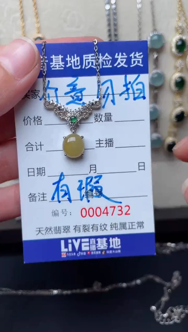 【闪购商品】翡翠颈饰银S925镶嵌..............