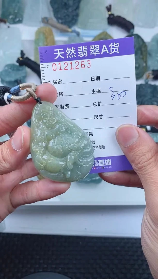 【闪购商品】翡翠颈饰未镶嵌        263