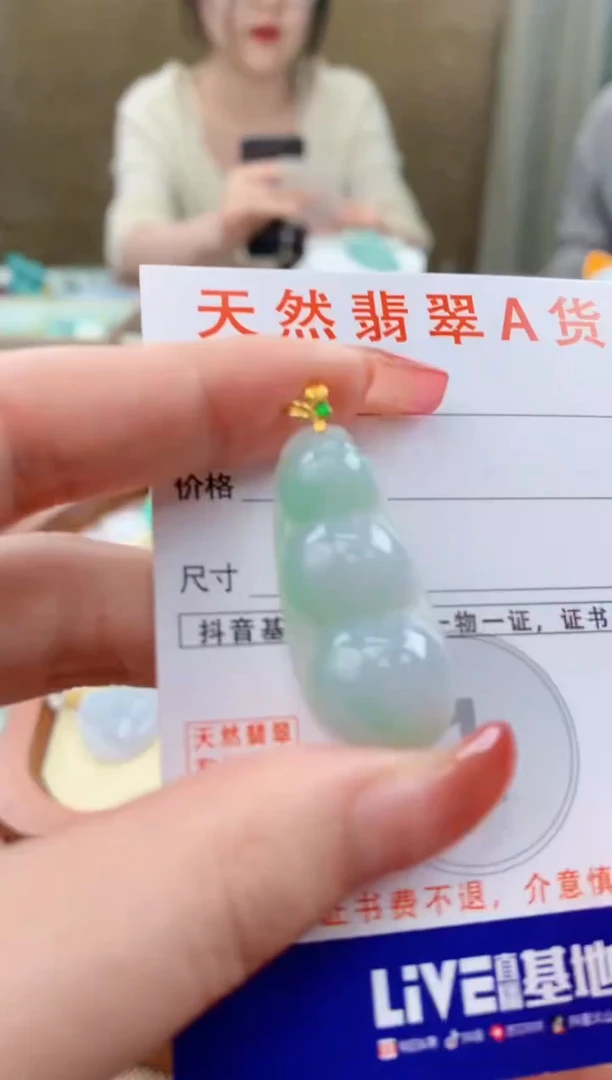 颈饰未镶嵌翡翠天然A货翡翠挂件