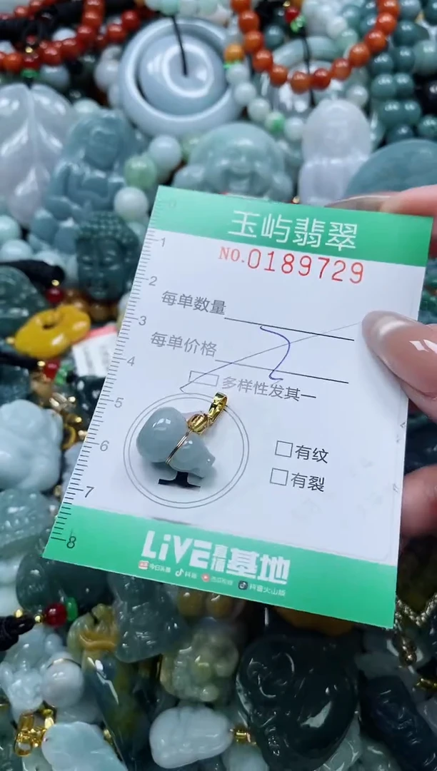 翡翠未镶嵌颈饰闪购0189729多样性发其一