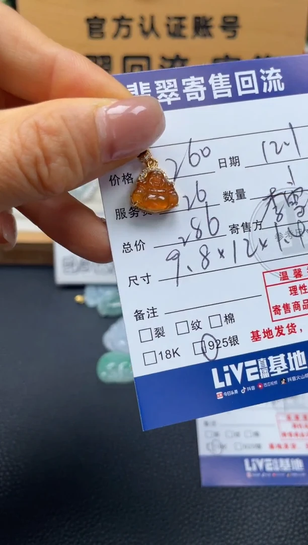 颈饰银S925镶嵌翡翠10151286