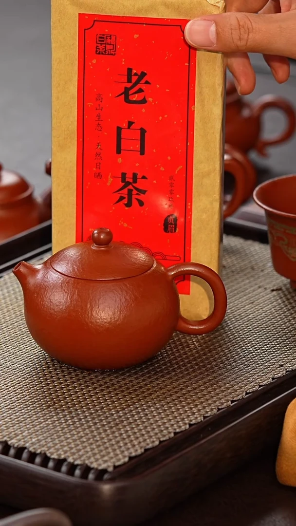 茶壶紫砂西施 16目 230cc