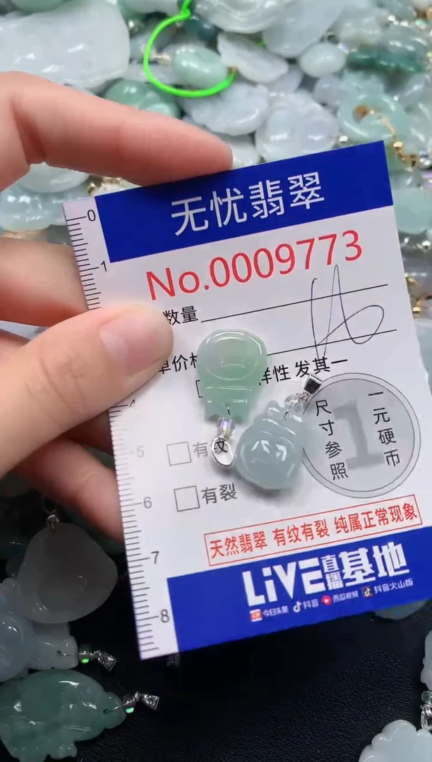 颈饰未镶嵌翡翠9773