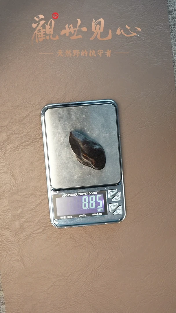 沉香沉香碎屑东马老沙巴留疤沉水料 8.84g