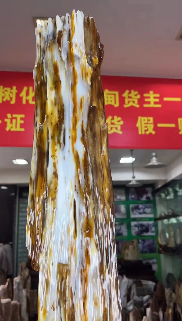 缅甸天然树化玉精品摆件