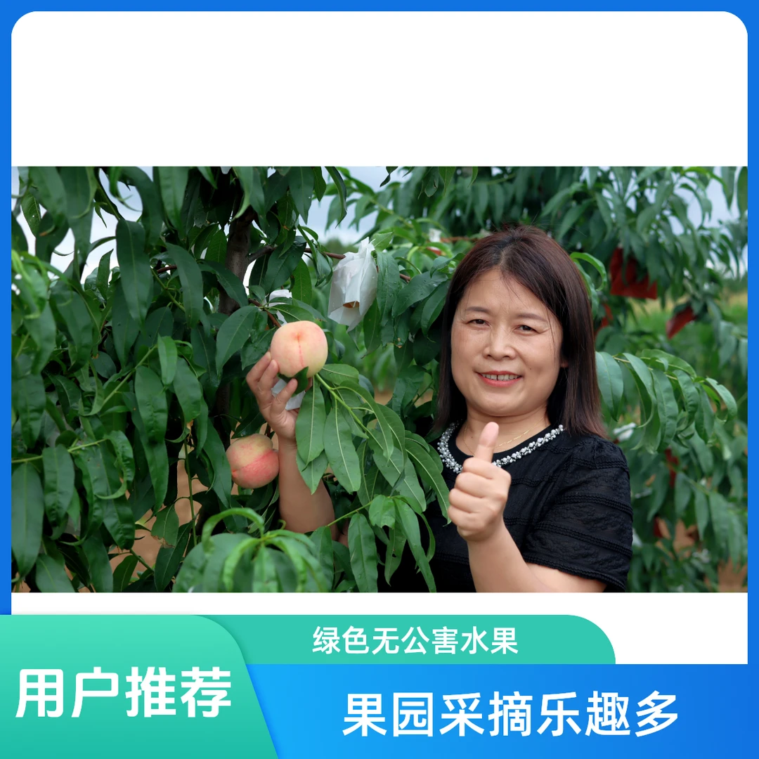 水蜜桃成都高产村现摘脆甜爆汁当季新鲜水果