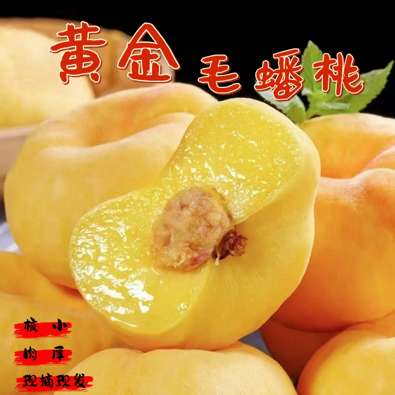 新鲜黄金毛蟠桃当季现摘新鲜水果爆甜多汁