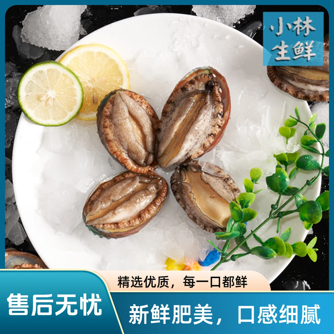 【小林优选】新疆包邮鲜活福建鲍鱼