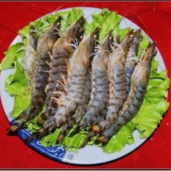 鲜活九节虾（3斤左右）【28条左右/斤-打氧活发】