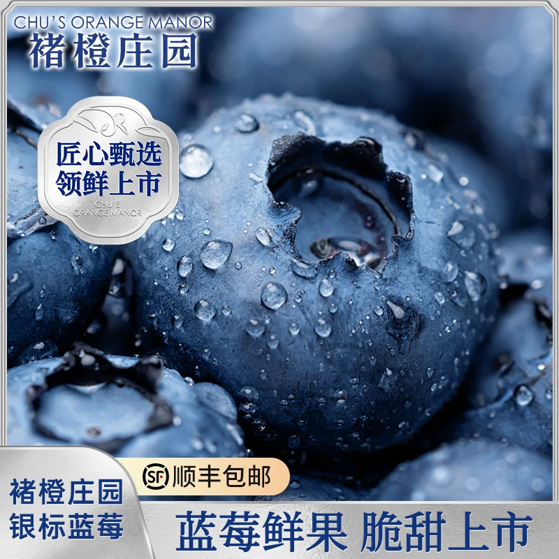 褚橙官方旗舰店 褚橙庄园银标花香蓝莓鲜果大果脆甜 当季现摘现发