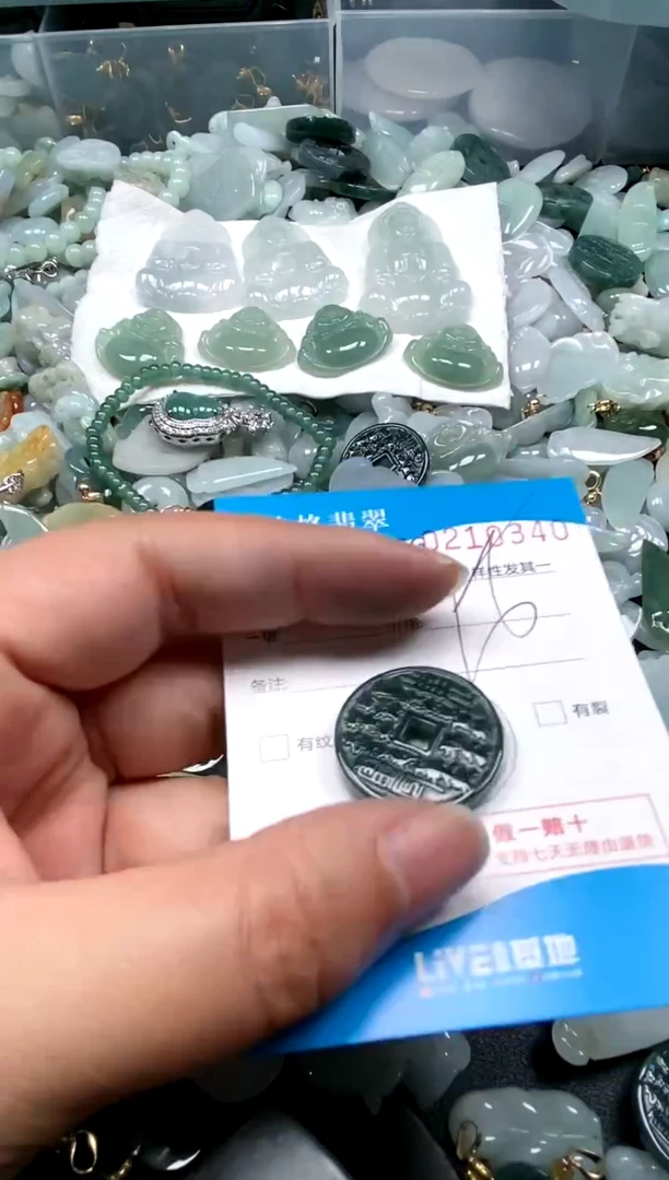 【闪购商品】翡翠颈饰未镶嵌闪购商品0210370