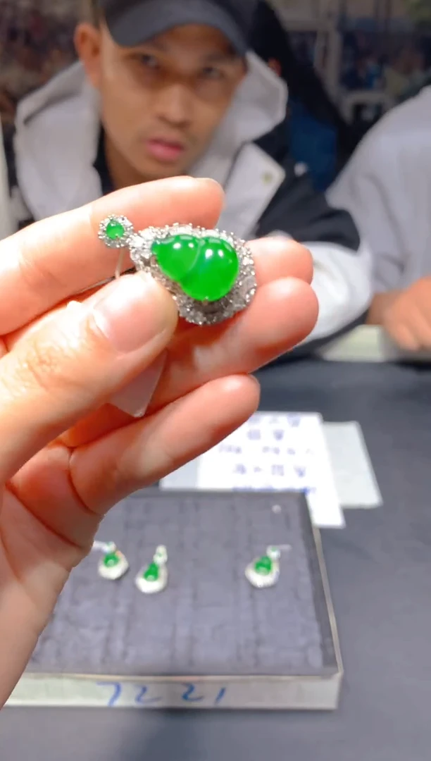 【闪购商品】定制翡翠未镶嵌28多样性发货(发其一）