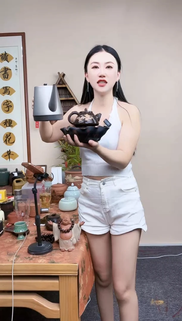 紫砂壶石瓢壶（不带托盘）