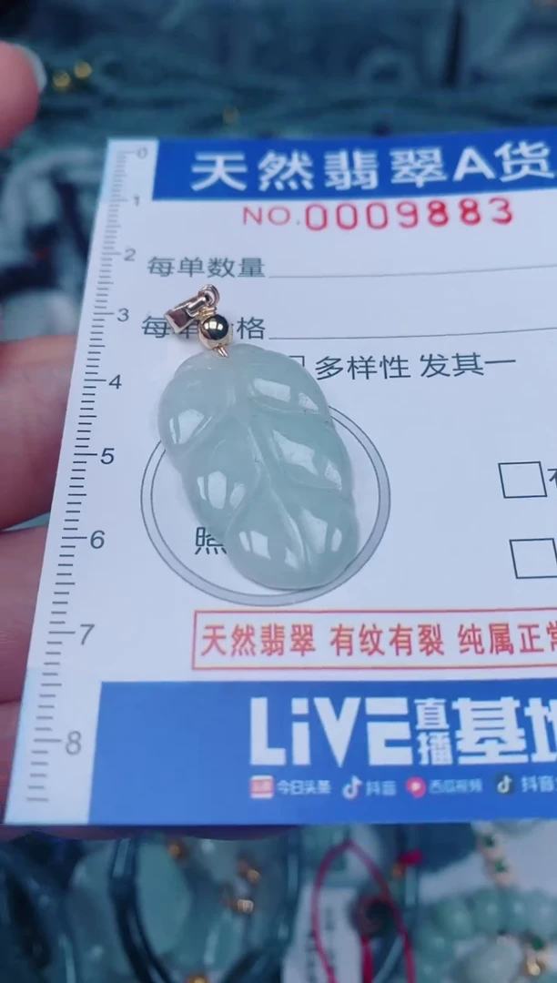 颈饰未镶嵌翡翠00009883