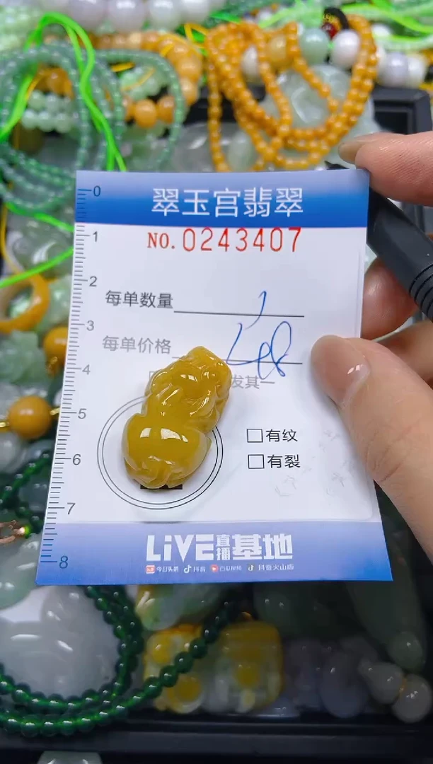 颈饰未镶嵌翡翠闪购C0243407