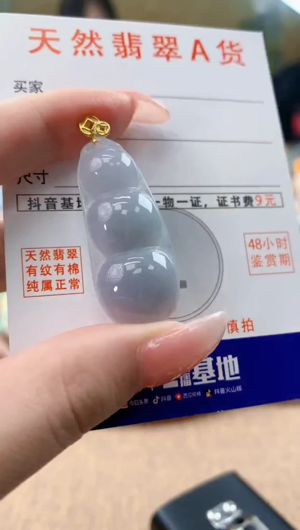 颈饰未镶嵌翡翠天然A货翡翠挂件