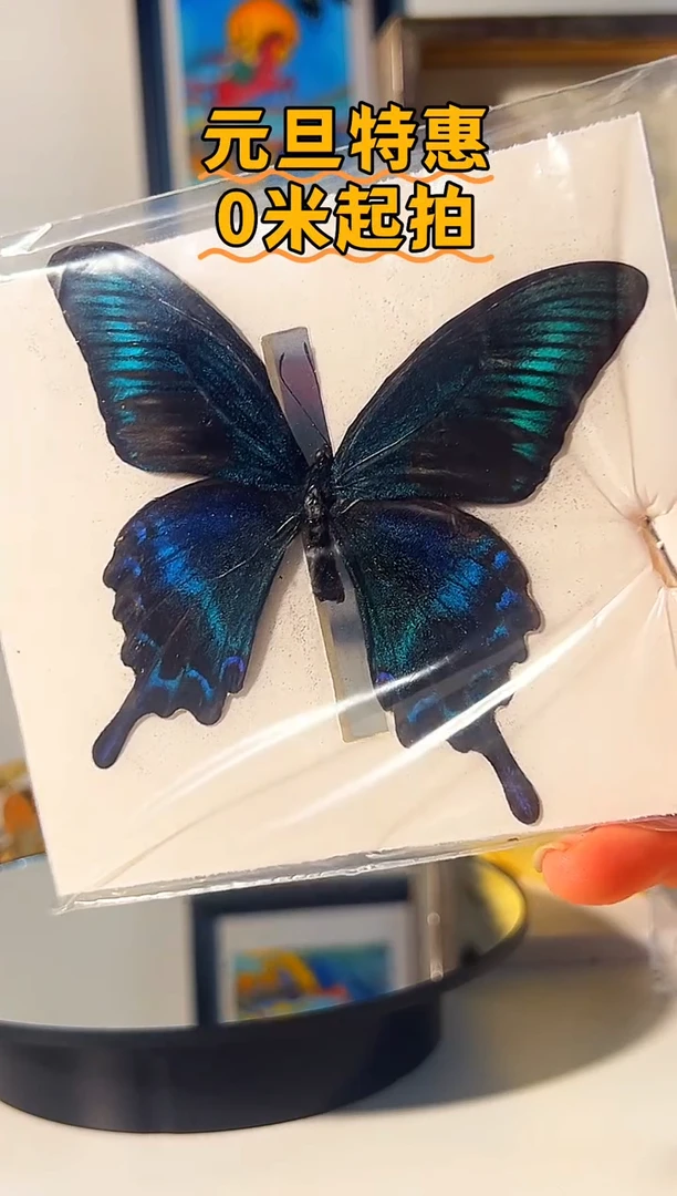 有机玻璃8988487954949