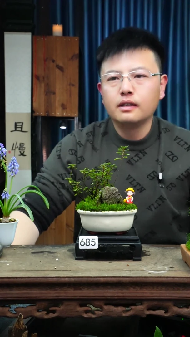 【闪购商品】苔藓微景观685号