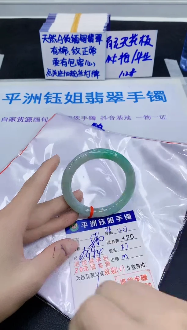 未镶嵌手镯翡翠11111