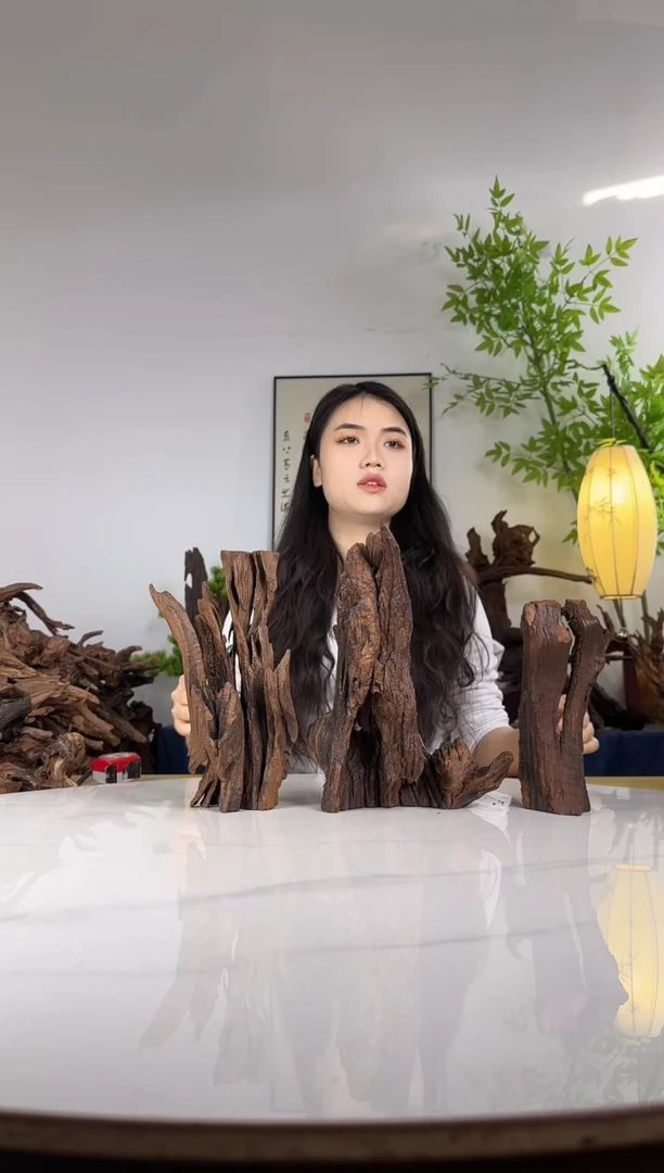 天***！拍这个定向编号3-3