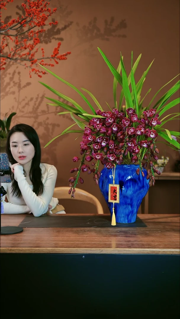 【闪购商品】盆景紫葡萄 蓝