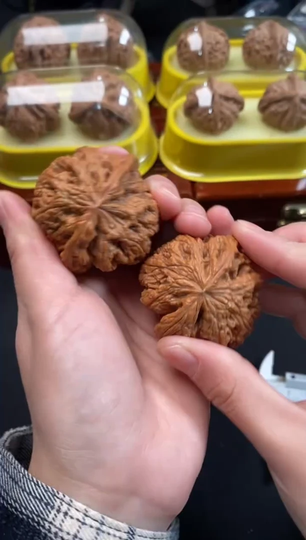 把件文玩核桃大粗筋46尺R604