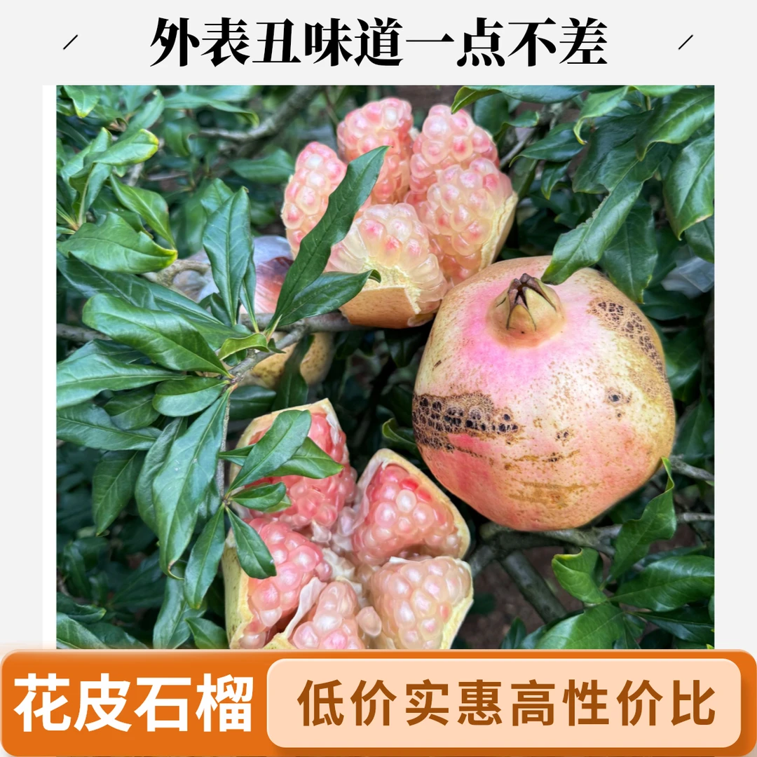 蒙自老树花皮甜石榴