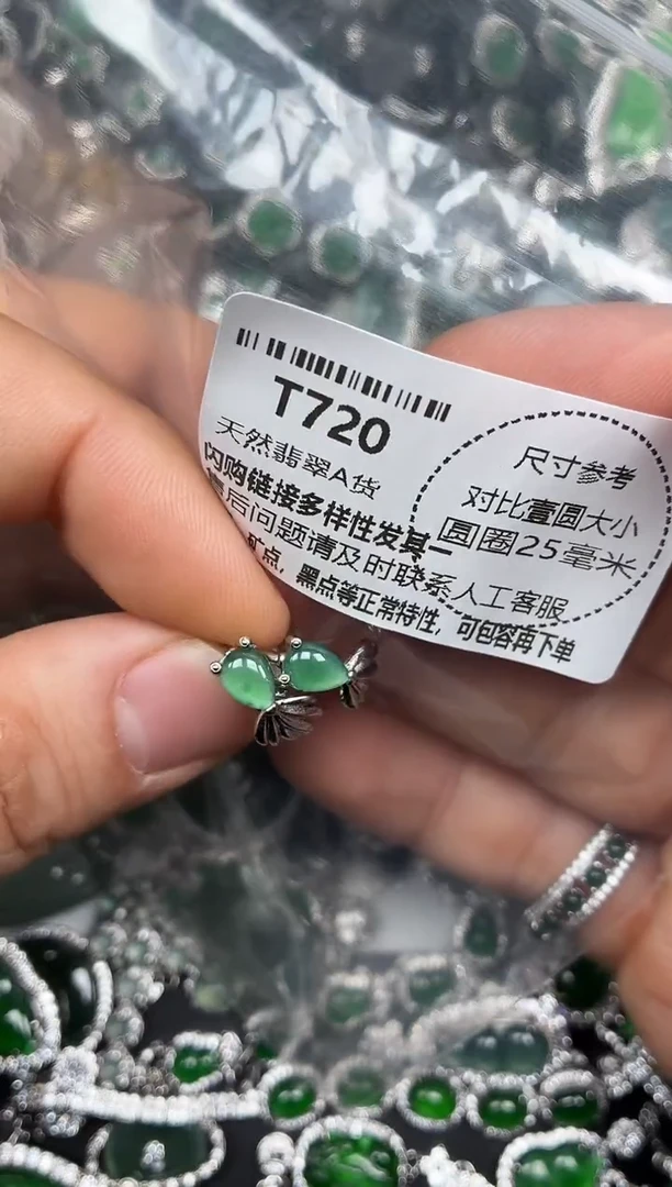 颈饰未镶嵌翡翠T720耳扣