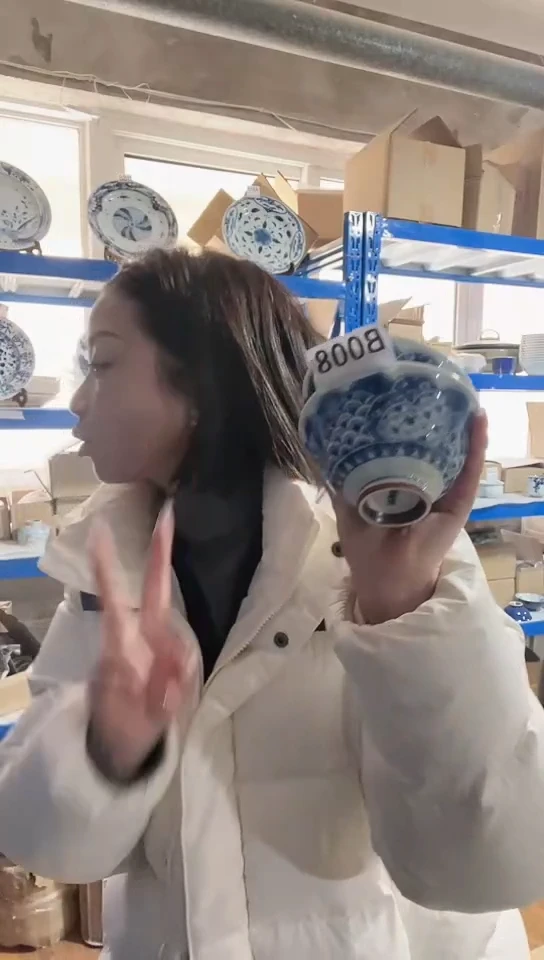 【闪购商品】瓷片日本进口瓷器11.5cm碗两只B008