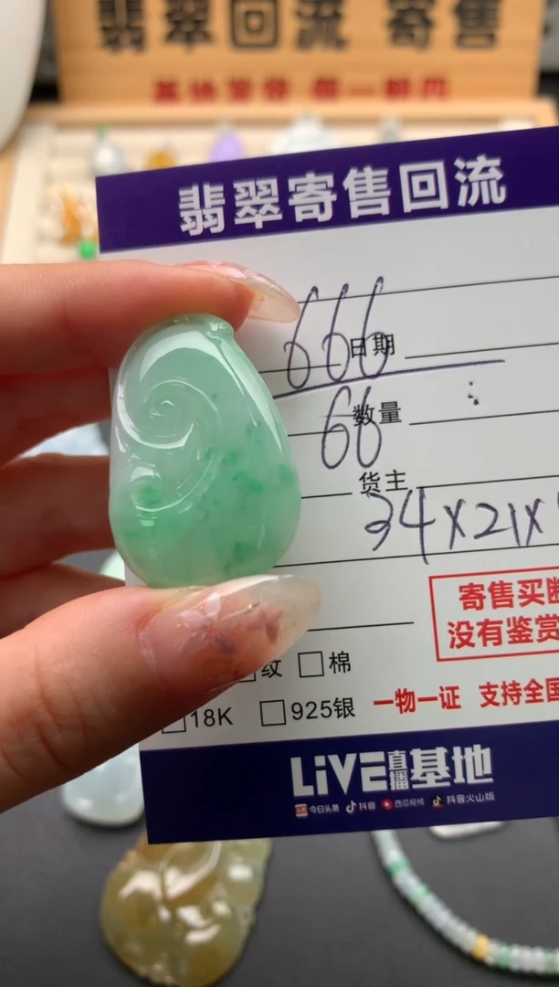 翡翠未镶嵌颈饰10133932