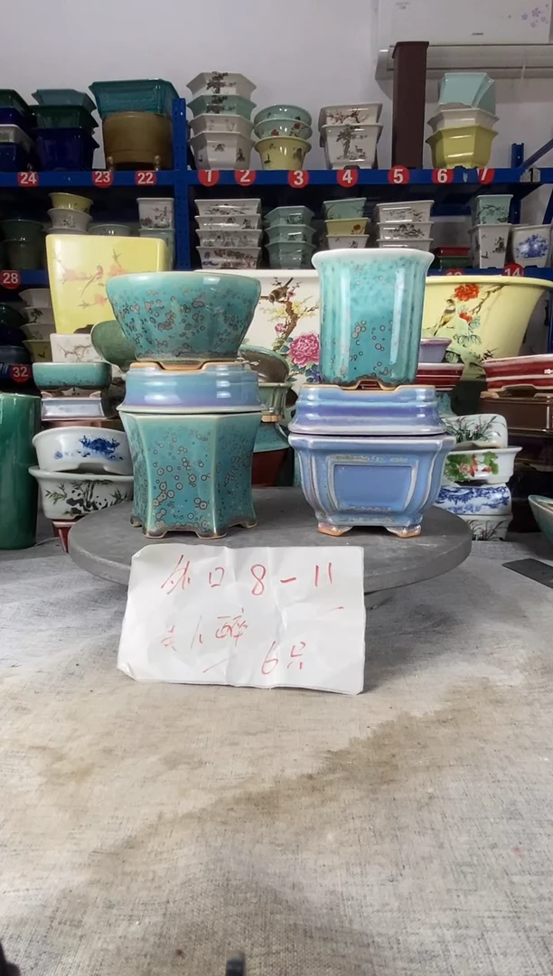 91705六只美人醉