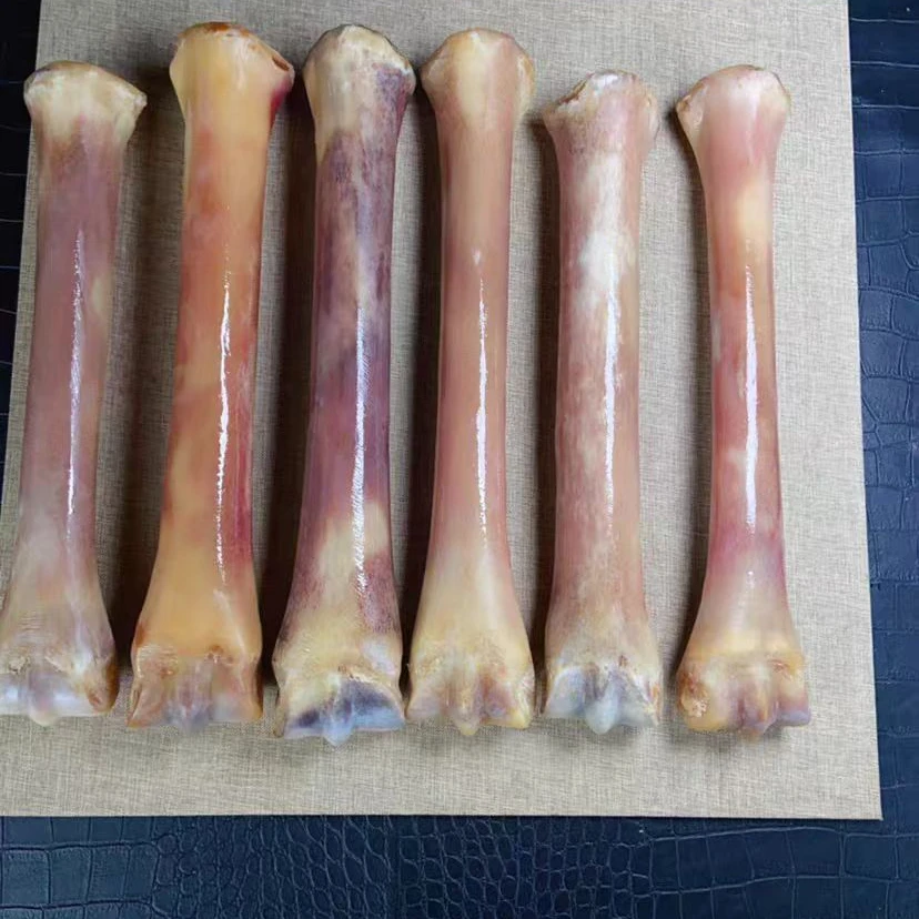 【浣浣熊摆件】整根骨棒居家摆件
