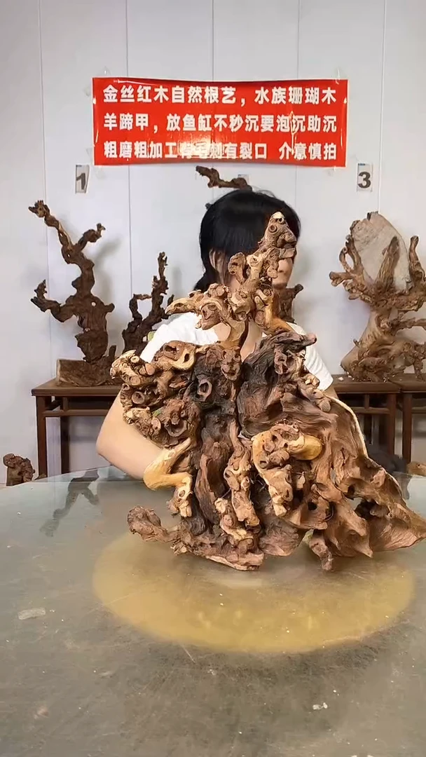 香榧木红*金丝红木 羊蹄甲