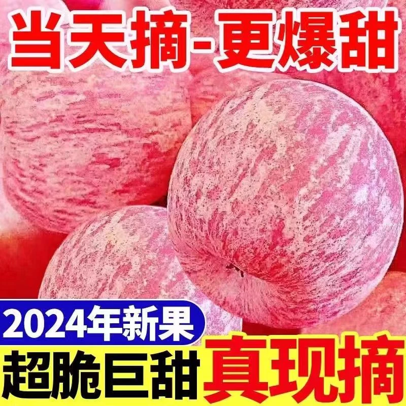 正宗高山红富士脆甜多汁