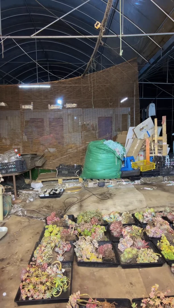 【闪购商品】26号一物一拍默认微瑕不售后