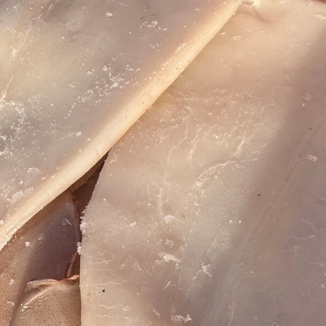 无冰无水鱿鱼板精品