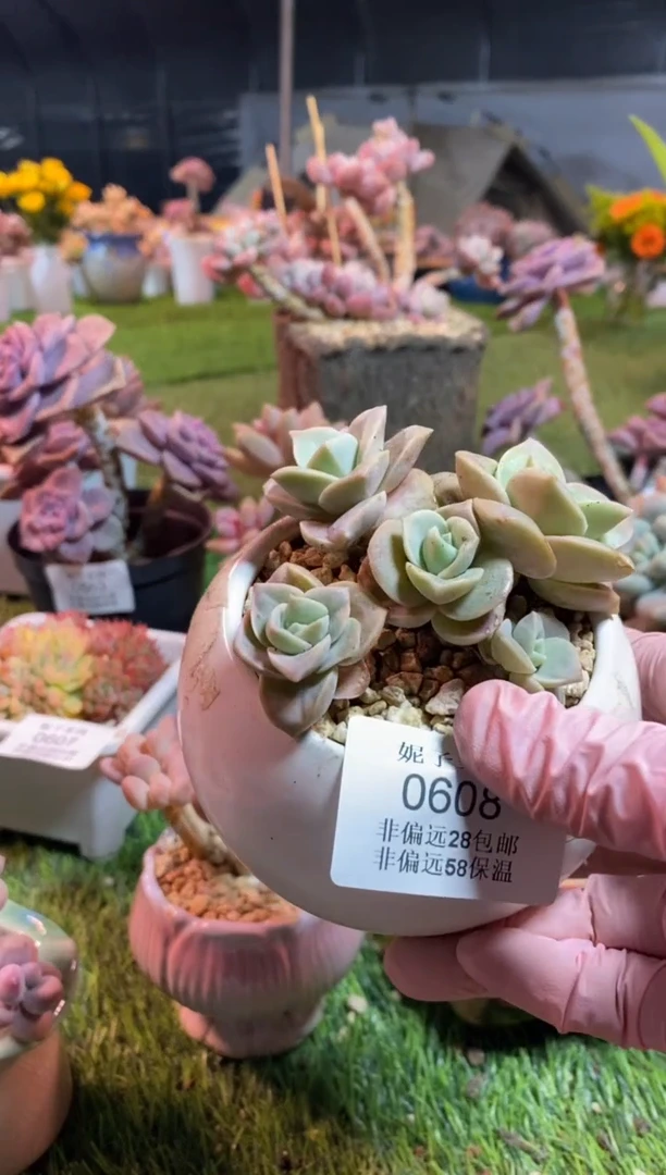 【闪购商品】0608a