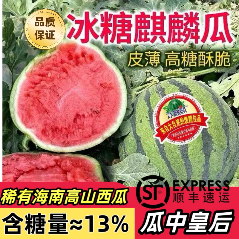 【顺丰包邮麒麟瓜】海南新鲜高山美都冰糖麒麟瓜当季爽脆清甜多汁