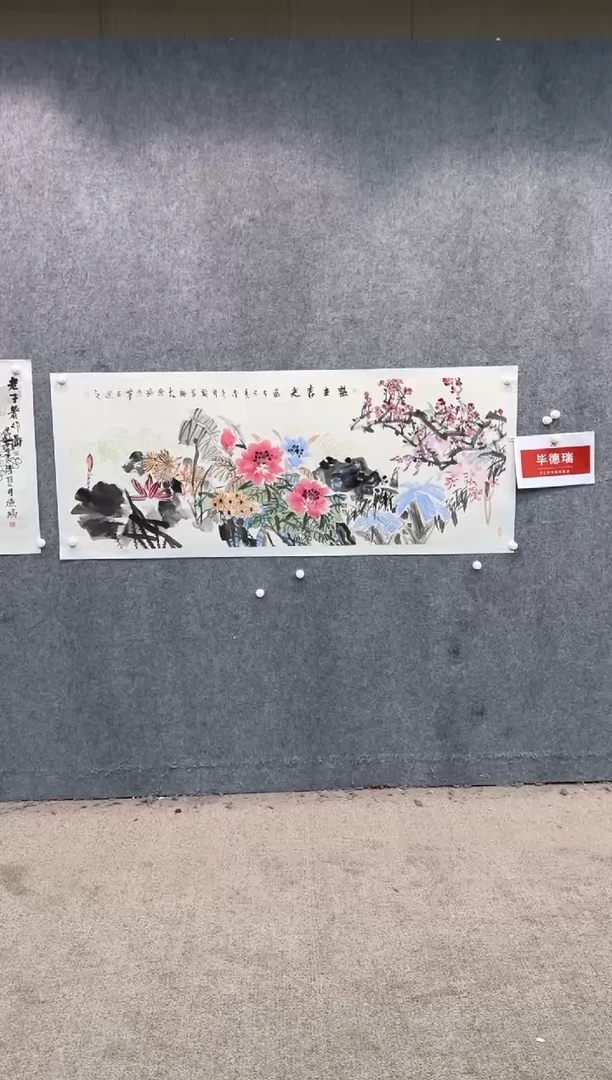 【闪购商品】国画pmw不二轩旗舰店国画BDR14