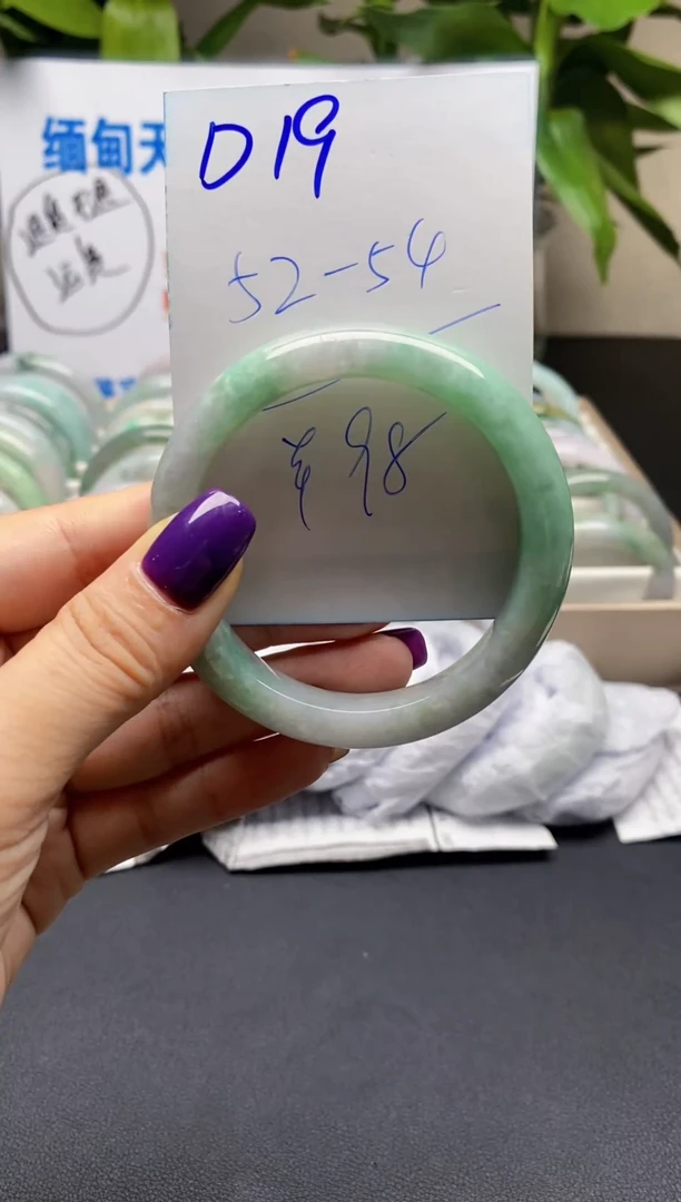 未镶嵌手镯翡翠19