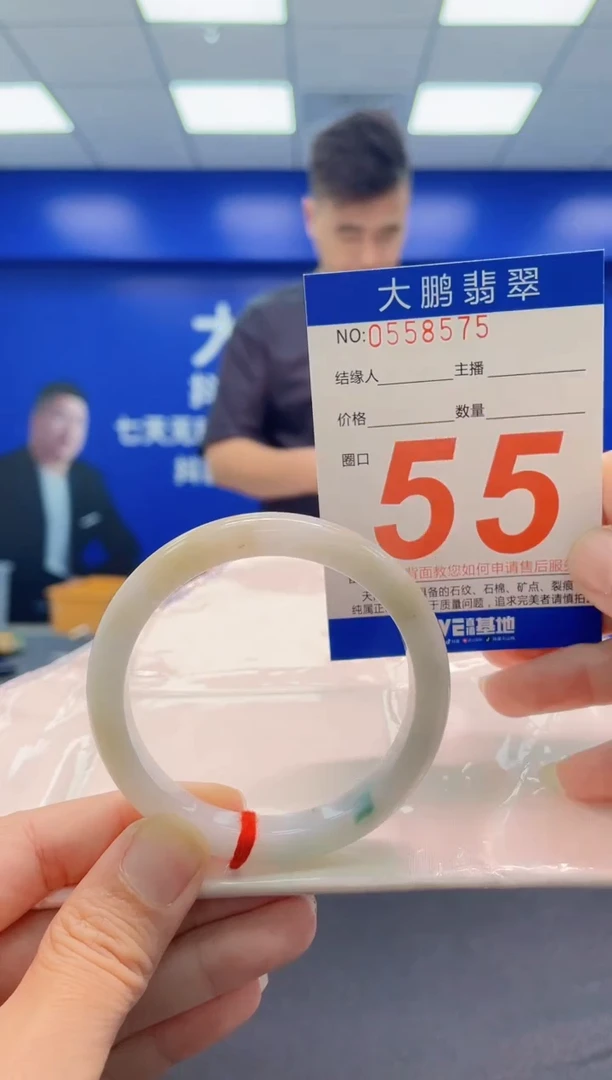 未镶嵌手镯翡翠AAAAAAAAA