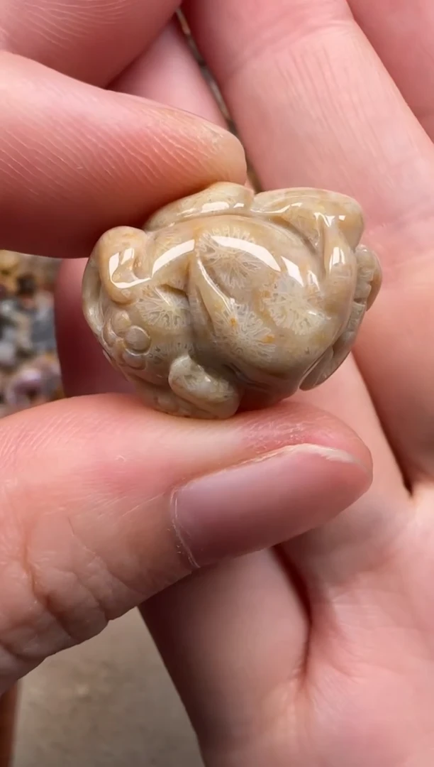 硅化珊瑚（珊瑚玉）未镶嵌颈饰446