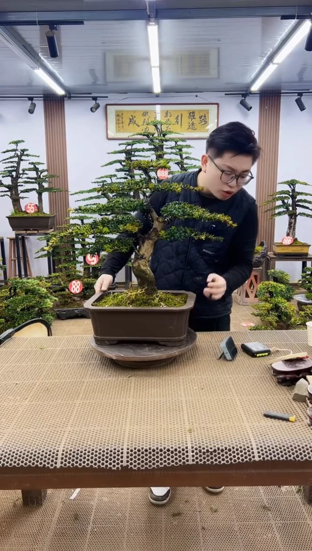 【闪购商品】一物一拍，所见即所得