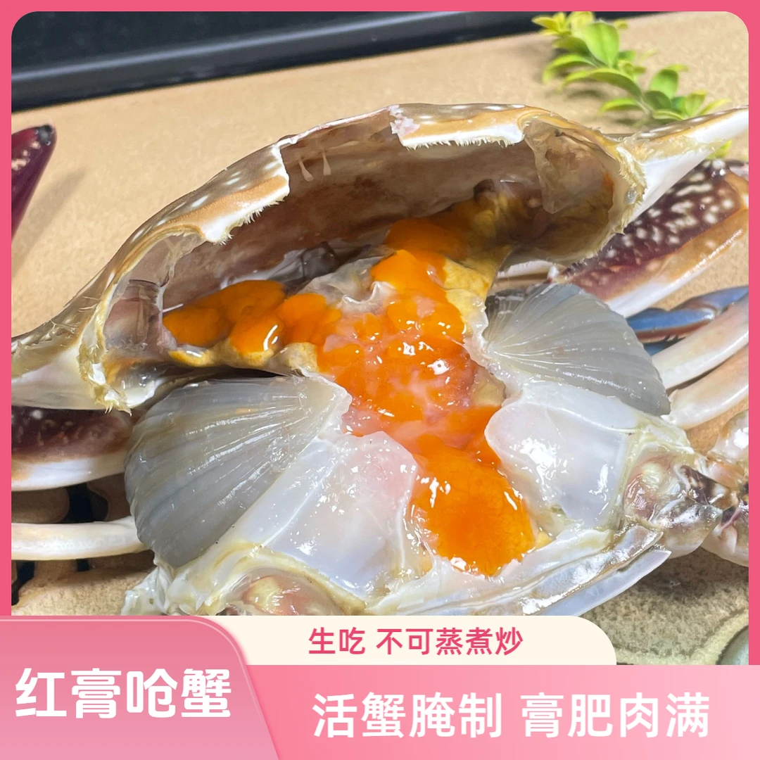 5两左右/只舟山宁波特产红膏呛蟹生腌蟹（生吃不可蒸煮）咸蟹江蟹生