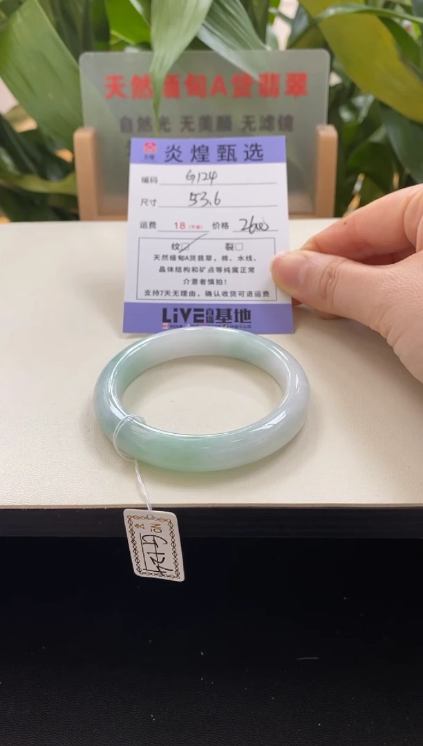 未镶嵌手镯翡翠圈口53.5编码g124